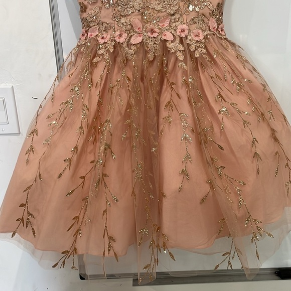 Dancing Queen Blush Pink Gold Embroidered Tulle Floral Mini Dress Size XS - Picture 7 of 16